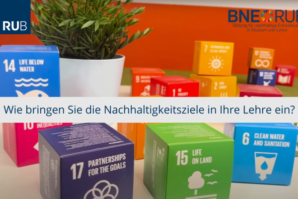 SDG Würfel, Frage "Wie bringen Sie die Nachhaltigkeitsziele in Ihre Lehre ein?"